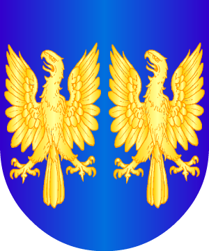 ESCUDO ALEATORIO